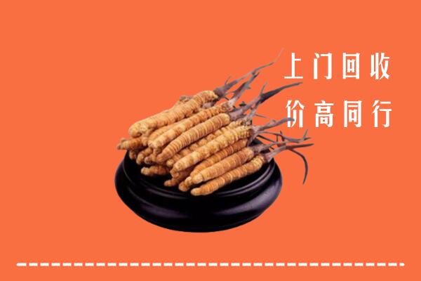 高价求购：土默特右旗回收散虫草
