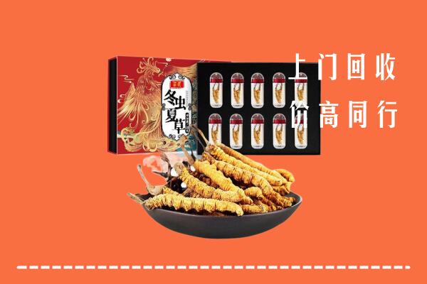 土默特右旗回收虫草